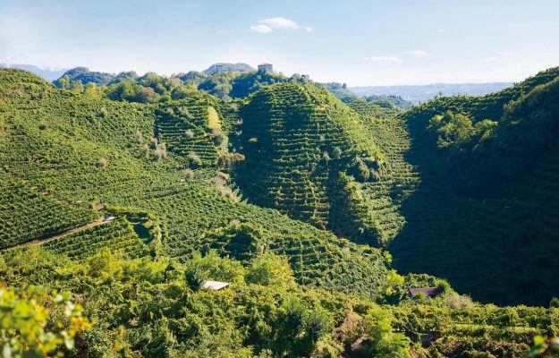 Il “Prosecco”, nelle sue declinazioni, è un must mondiale. E Wine-Searcher scova i più “preziosi”