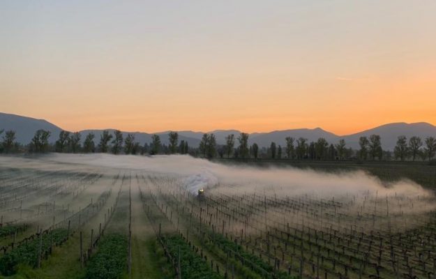 La risposta hightech ai fuochi in vigna? Una ventola smart anti gelate: la prima in Italia da Caprai