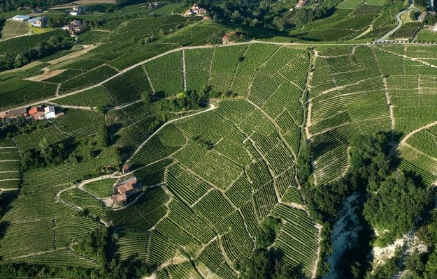 Wine territories, the «Nizza Manifesto»: the quality summit of the Barbera world
