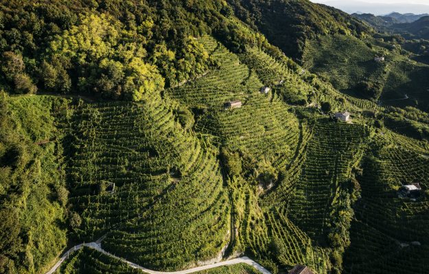 Le colline del Conegliano Valdobbiadene, il futuro tra genius loci e patrimonio umano
