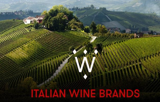 Wine and finance: Italian Wine Brands has acquired Enoitalia for 150 million euros