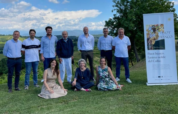 Idee di territorio: in Friuli nasce la «Rete d'impresa Pinot Bianco nel Collio»