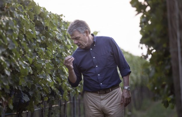 La vendemmia 2023 in Italia, in territori top, letta da Renzo Cotarella, enologo e ad Antinori