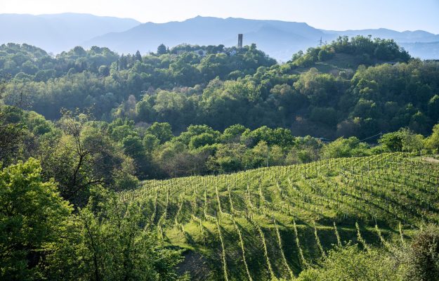 Ryanair, accordo con il Prosecco per rilanciare il turismo a Treviso e dintorni