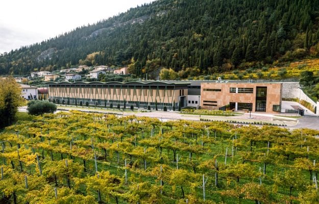 Investing in history and territories: Caviro brings Gerardo Cesari back to the center of Valpolicella