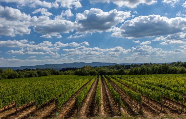 Attenzione alla qualità, cura dei dettagli e creatività: ecco quello che lega moda e vino
