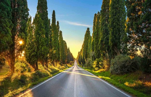 Bolgheri, territorio simbolo dell'enologia mondiale dai «padri fondatori» ai fasti contemporanei