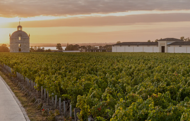 Vino e fusioni: Artémis Domaines (Château Latour) acquisisce la maggioranza di Henriot