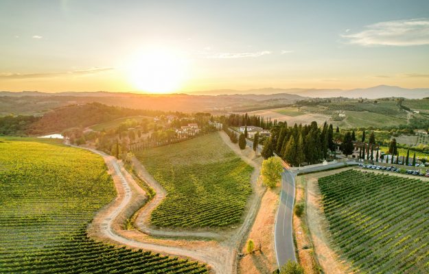 Ruffino, 11 milioni di euro investiti tra il 2019 ed il 2025 per la sostenibilità. A 360 gradi