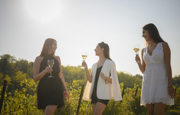 Non solo vino, con Vinitaly: dal 2024 VeronaFiere punta ad un format dedicato all’enoturismo