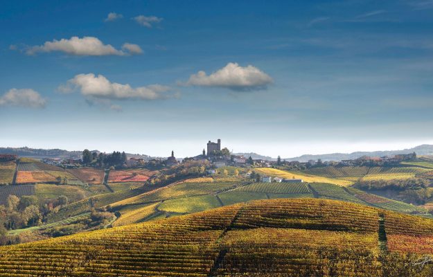 Il Vigneto Italia vale 56,5 miliardi di euro, per un corrispettivo a ettaro di 84.000 euro