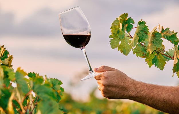 Sustainability: the primary drivers are ethics, fear and quality. The model is the history of wine