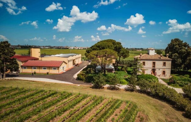 Investire sul futuro e sul potenziale del territorio: la nuova cantina di Re Manfredi, nel Vulture