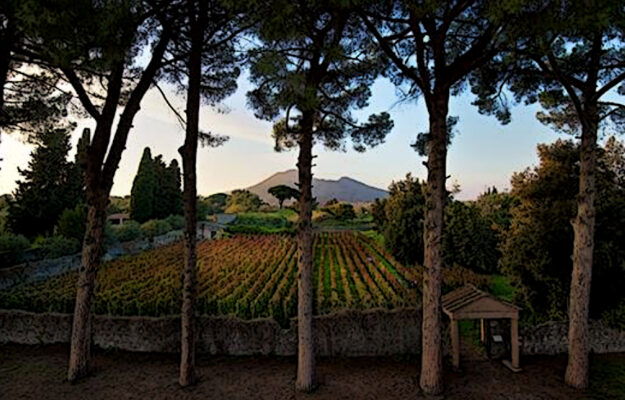 Tra cultura e agricoltura, l’Azienda Agricola Pompei riparte dal vino. Con “La Guardiense” (rumors)
