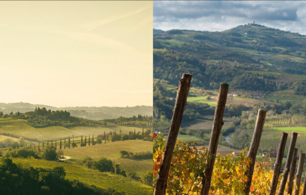 Fine Wines, Piemonte e Toscana le Regioni cresciute di più (dopo la Borgogna) in 10 anni