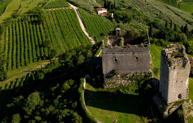 Nasce Collis Heritage Spa, dalla fusione tra Cantine Riondo e Casa Vinicola Sartori 1898