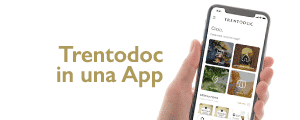 77-trentodoc_300x120 77-trentodoc_300x120