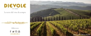 Dievole D’wine club 300x120 Dievole D’wine club 300x120