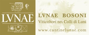 Lunae Bosoni 2019 Lunae Bosoni 2019
