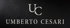 Banner Cesari Statico Banner Cesari Statico