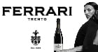 Ferrari Trento 2026 (140x75)