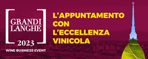 Grandi Langhe 2023