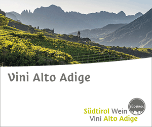 Banner Vini Alto Adige 2022
