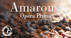Amarone Opera Prima 2023