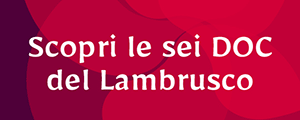 Lambrusco 2023