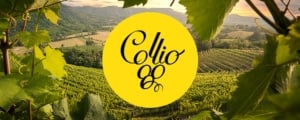 Collio 2026