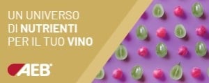 AEB agosto (300x120) Sito AEB agosto (300x120) Sito