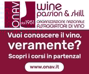 ONAV - Gheusis (300x250)