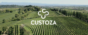 Consorzio Vino Bianco Custoza (300x120) .gif Consorzio Vino Bianco Custoza (300x120) .gif