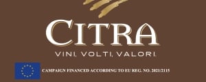 Citra - 2024 Citra - 2024