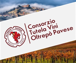 Consorzio Tutela Vini Oltrepo Pavese (300x250)