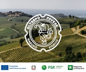 Consorzio Tutela Vini Oltrepo Pavese (300x250) Consorzio Tutela Vini Oltrepo Pavese (300x250)