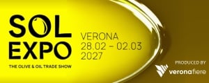 SolExpo 2027 (300x120 px)