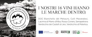 Istituto Marchigiano di Tutela Vini - Marche Vini 2026 (300x120)