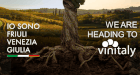 PromoTurismoFVG - Vinitaly 2026 (140x75)