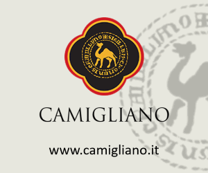 Camigliano 2025 (300x250) Camigliano 2025 (300x250)