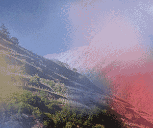 Viva - Vini Valtellina - 2025 (300x250)