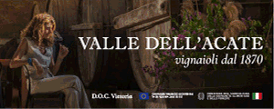 Valle dell Acate 2025 (300x120)