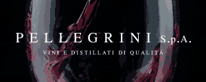 Pambianco Pellegrini 2025 (300x120) Pambianco Pellegrini 2025 (300x120)
