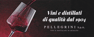 Pellegrini 2026 (300x120)