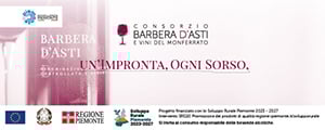 Consorzio Barbera d’Asti e Vini del Monferrato 2026 (300x120)