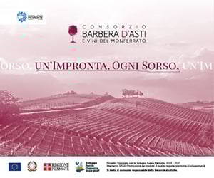 Consorzio Barbera d’Asti e Vini del Monferrato 2026 (300x250)