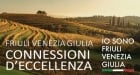 FVG - Connessioni (140x75)